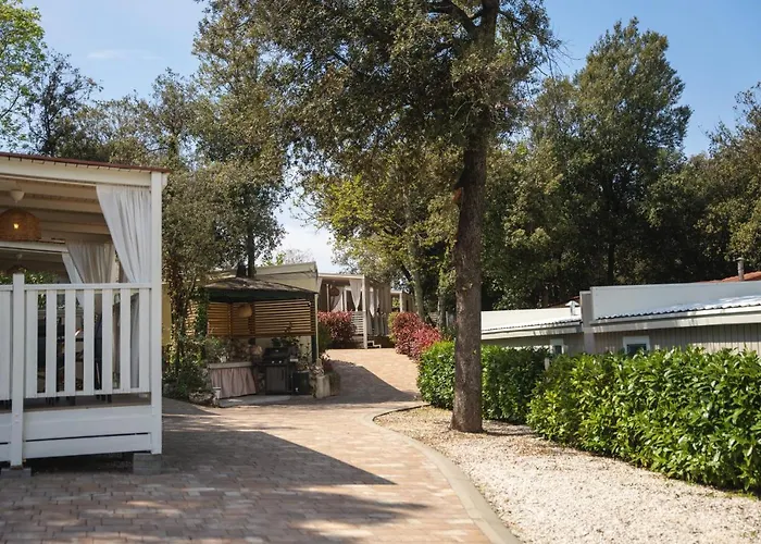 Tina 홀리데이파크 브르사르